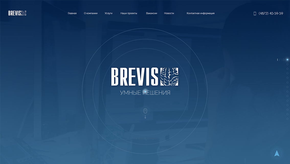 Пример дизайна портфолио: Создание сайта компании Бревис - рис. 1