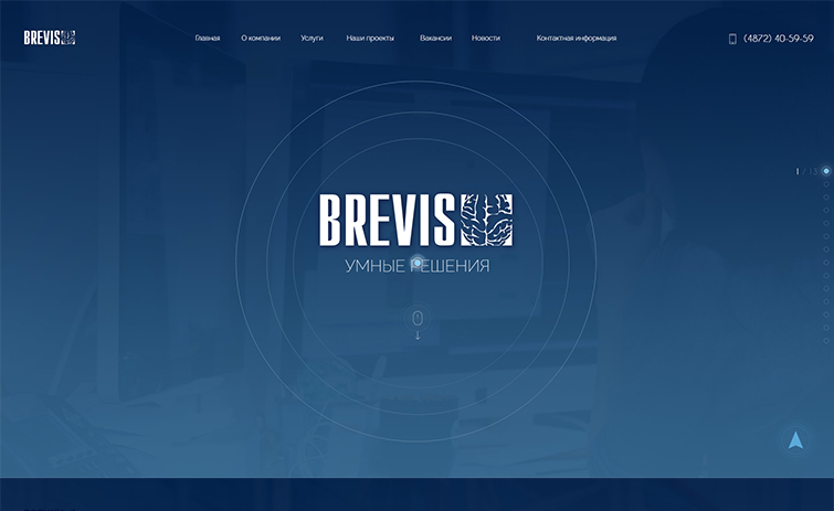 Корпоративный сайт BREVIS - рис. 4