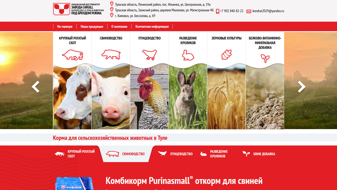 Пример дизайна портфолио: Создание сайта для компании Purina Тула - рис. 1