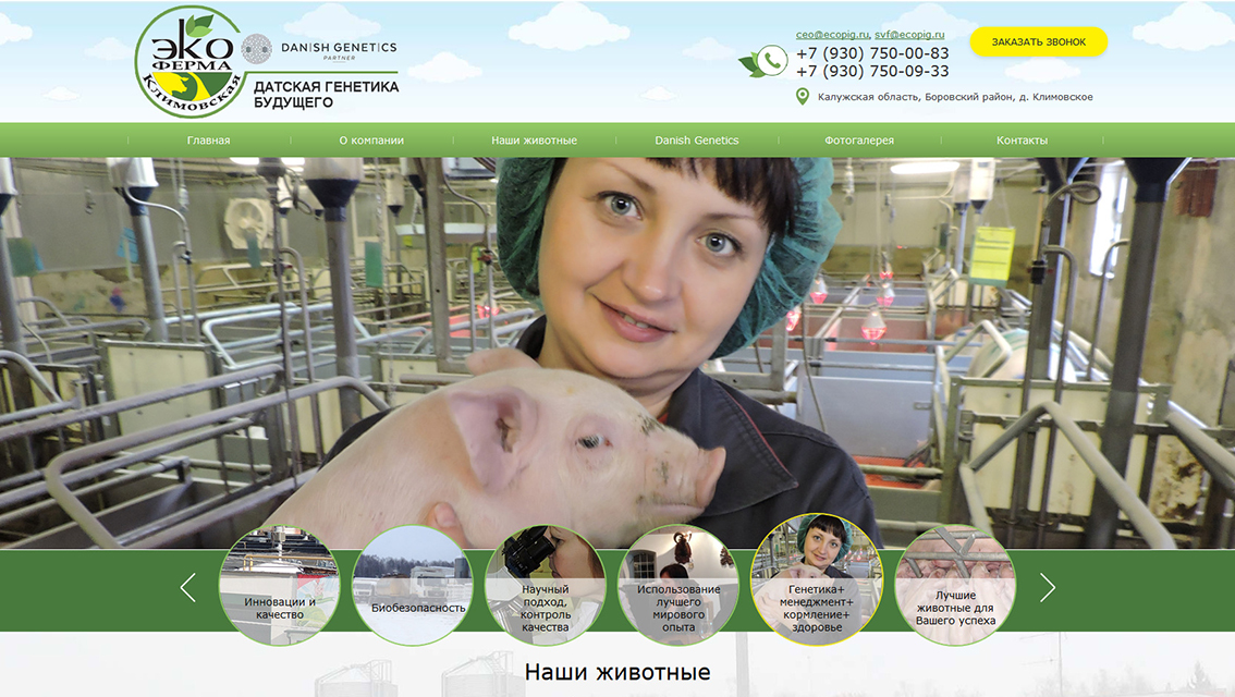 Пример дизайна портфолио: Создание сайта для ООО «ЭКО ФЕРМА «Климовская» - рис. 1